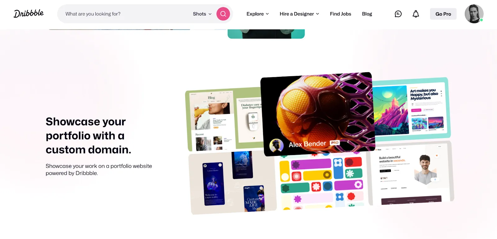 Screenshot of Dribbble's custom domain portfolio feature