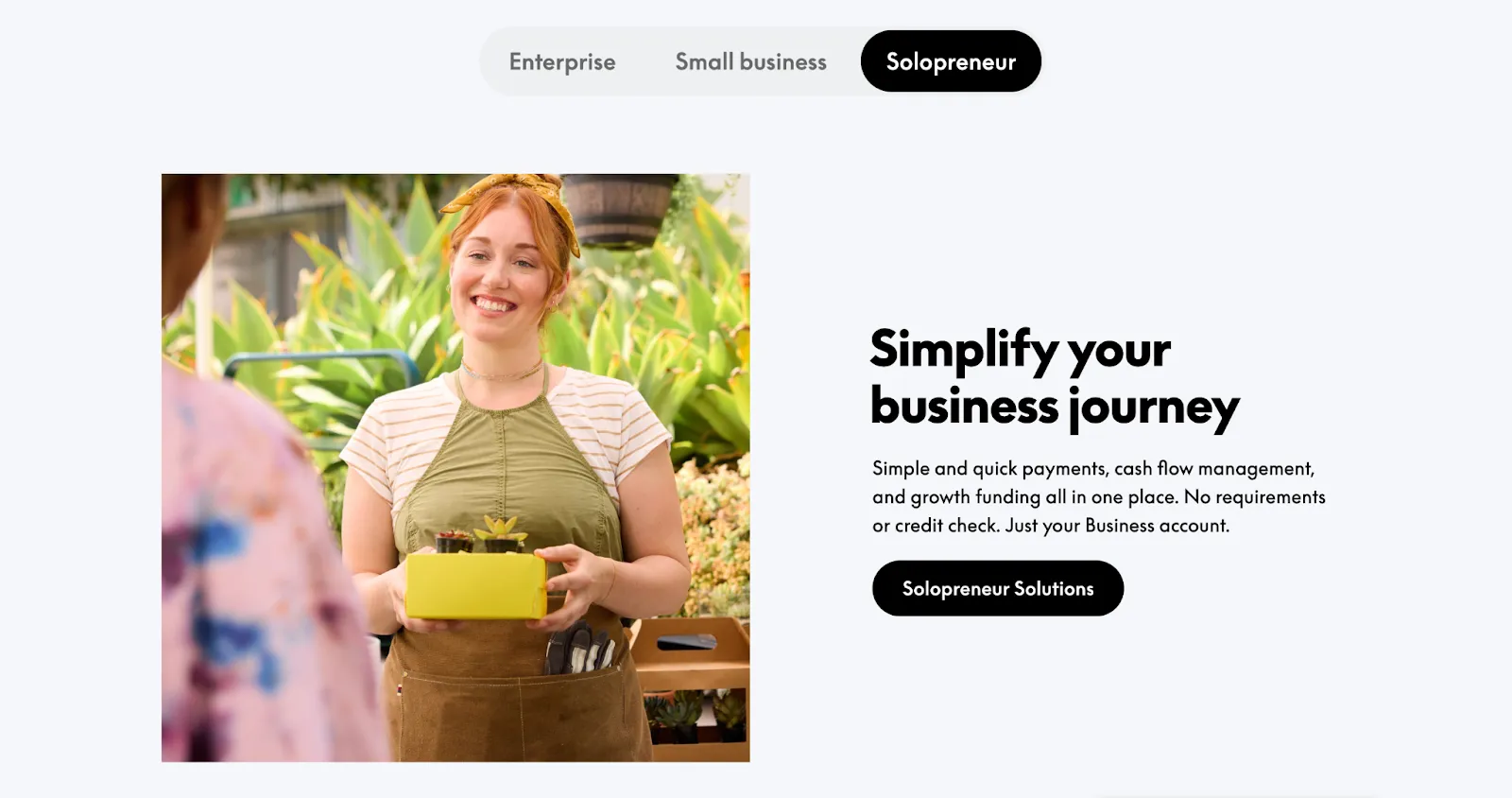Screenshot of a Paddle solopreneur page
