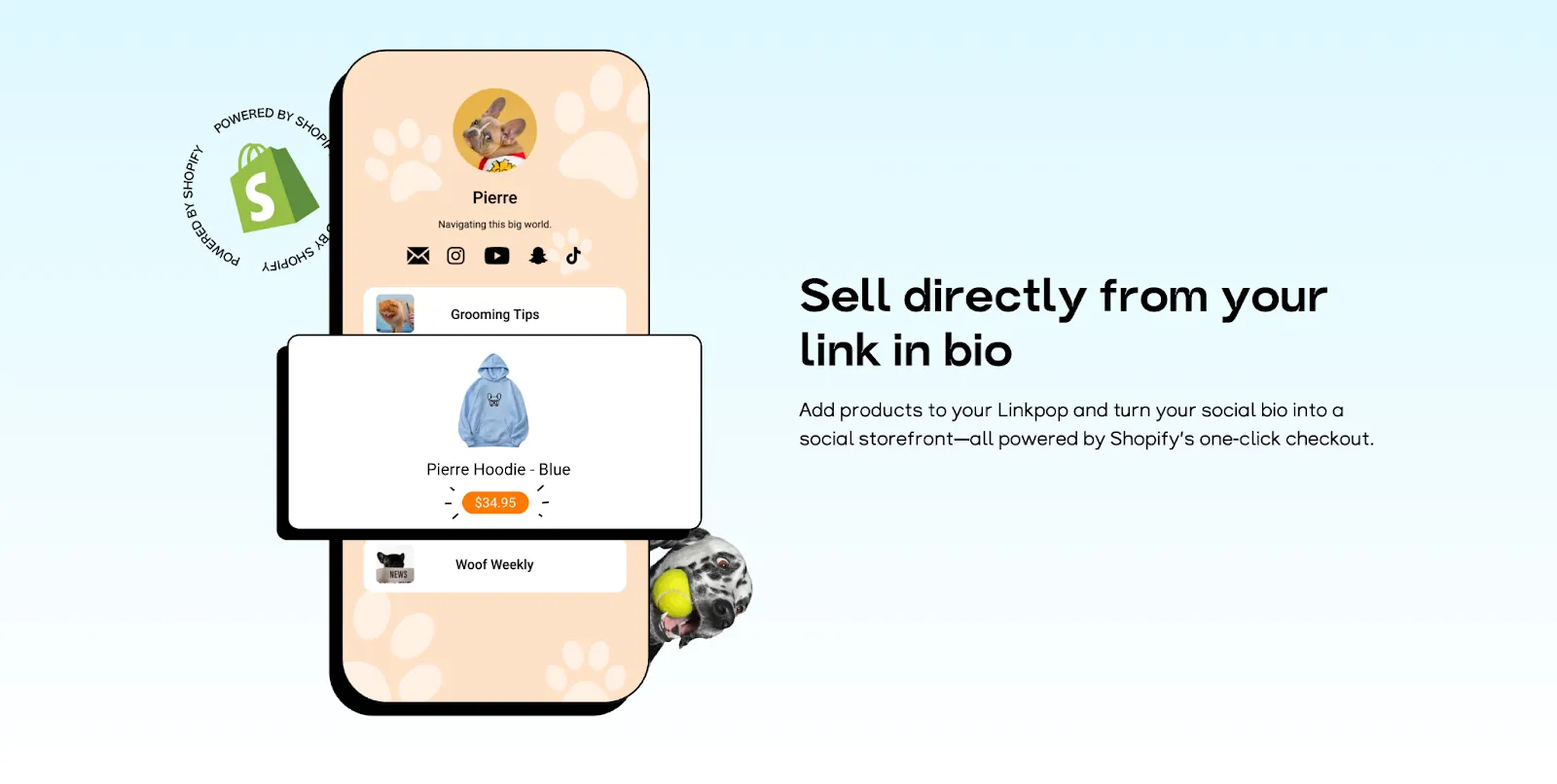 Screenshot of Shopify's link in bio selling feature